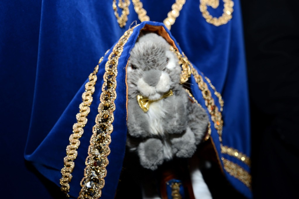 ../Images/Dansmarieke festival 2015 364.jpg